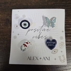 🆕️Alex and Ani Positive Vibes Pin Set